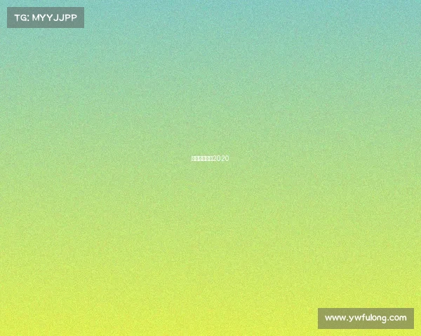 女排最新赛事2020