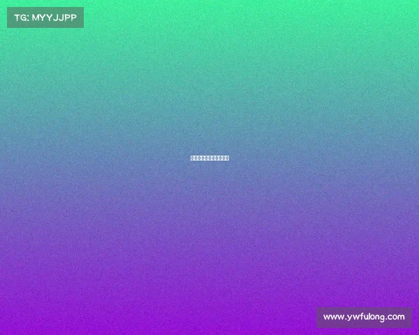 弹弓比赛顶级赛事有哪些