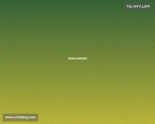 意甲赛事编号-意甲赛事编号大全