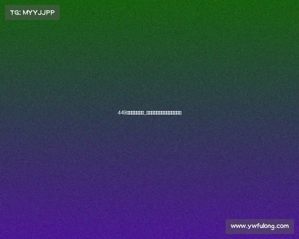 449电子竞技俱乐部_荣光之巅：巅峰之师的电竞征程