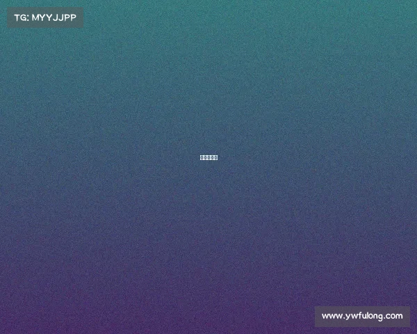 非洲竞标赛 非洲竞标赛